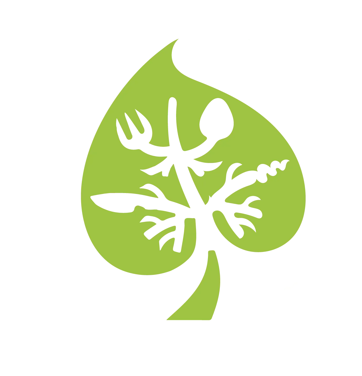 Крива Липа